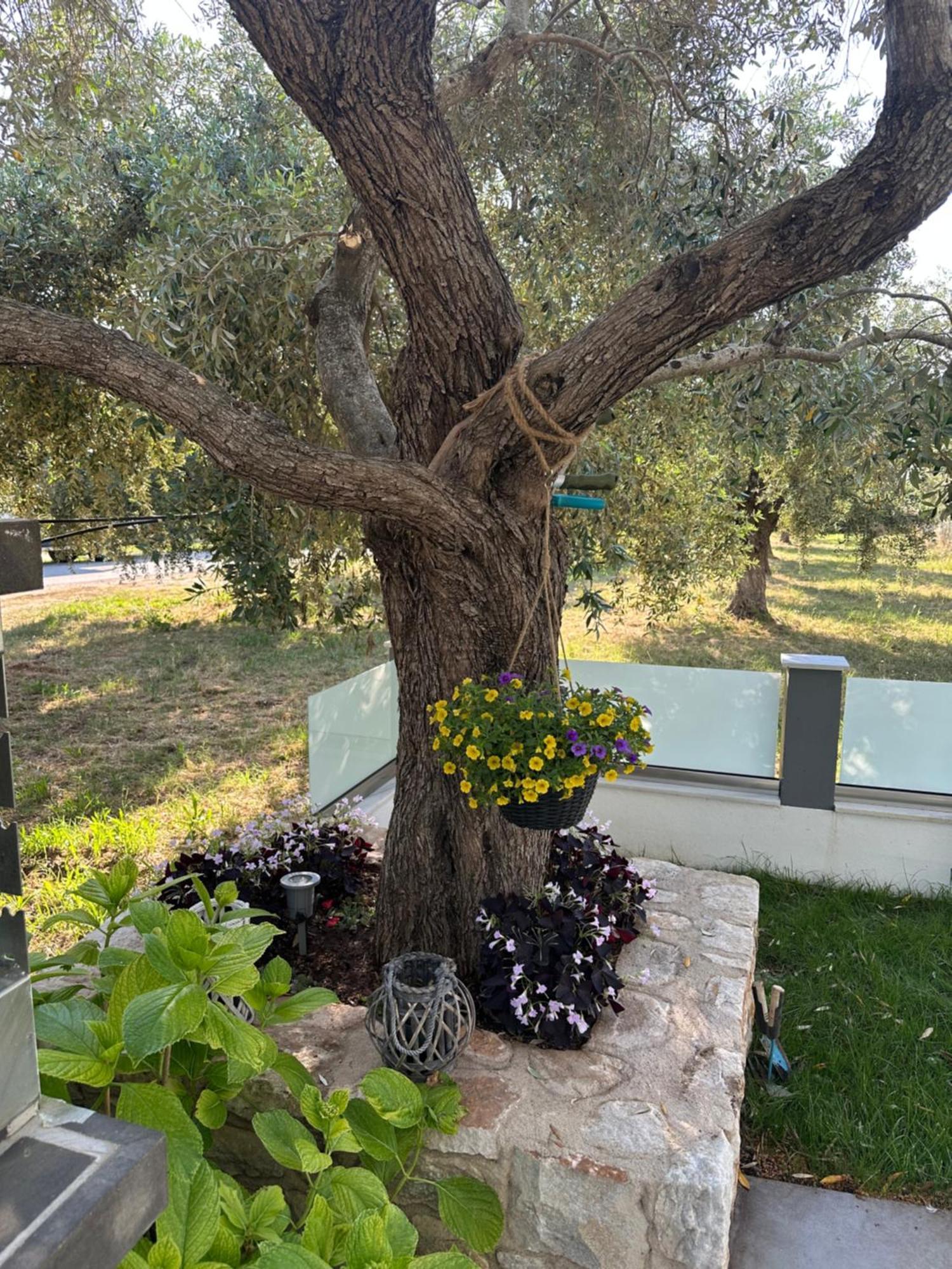 Danielli Luxury Villas Skala Rachoni  Exterior photo